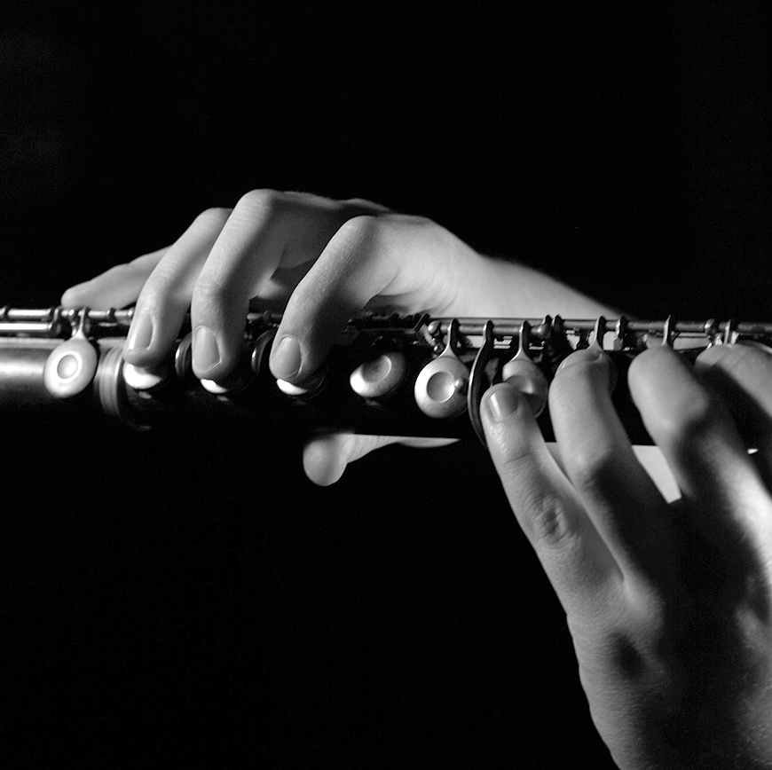 Flute (1 term, 11 lessons) Chorleywood - One-to-One tuition